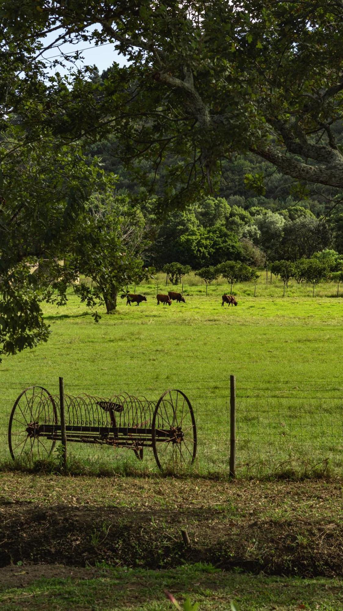 The Hamlet Farm stay Swellendam